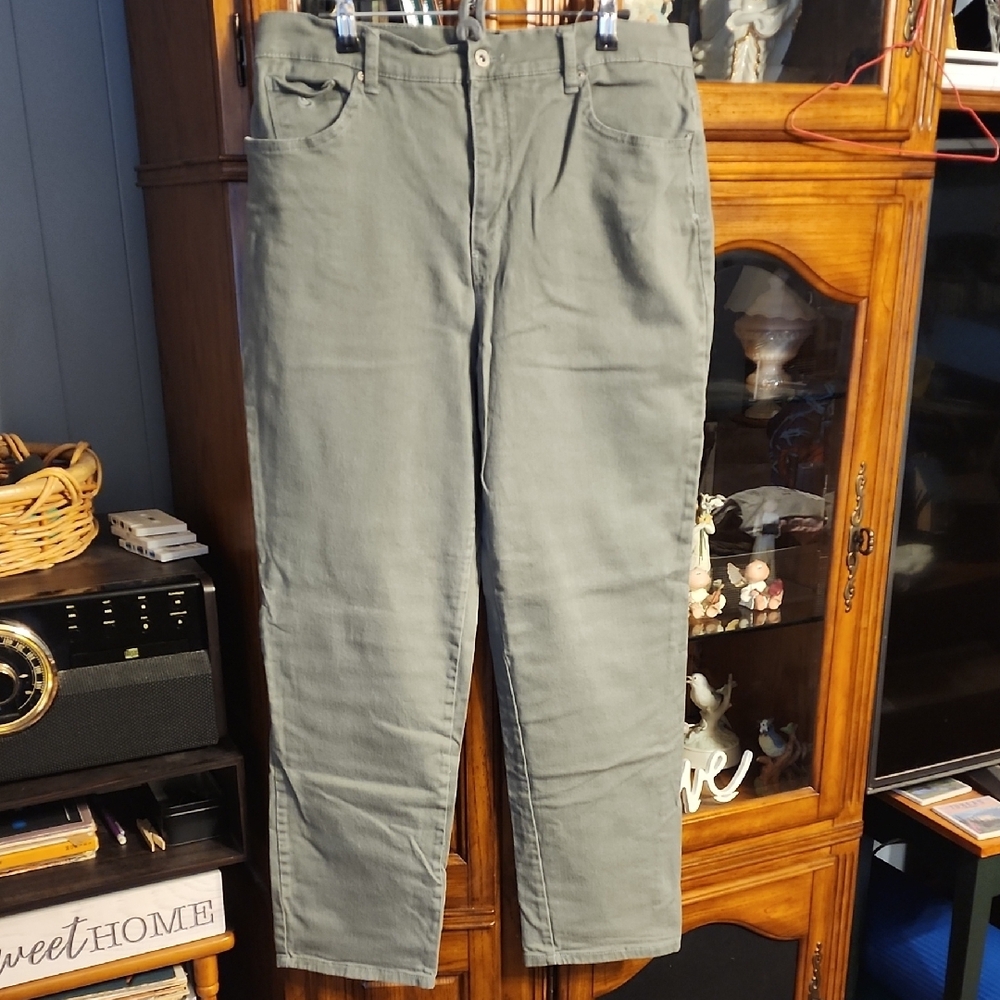 ✨5/$8✨ Gloria Vanderbilt Grayish Green Pants B3